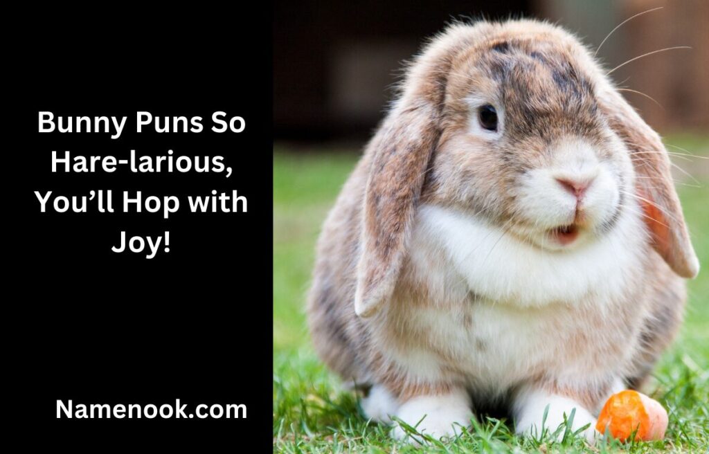 Bunny Puns So Hare-larious, You’ll Hop with Joy!