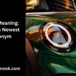 MDNI Meaning: TikTok’s Newest Acronym