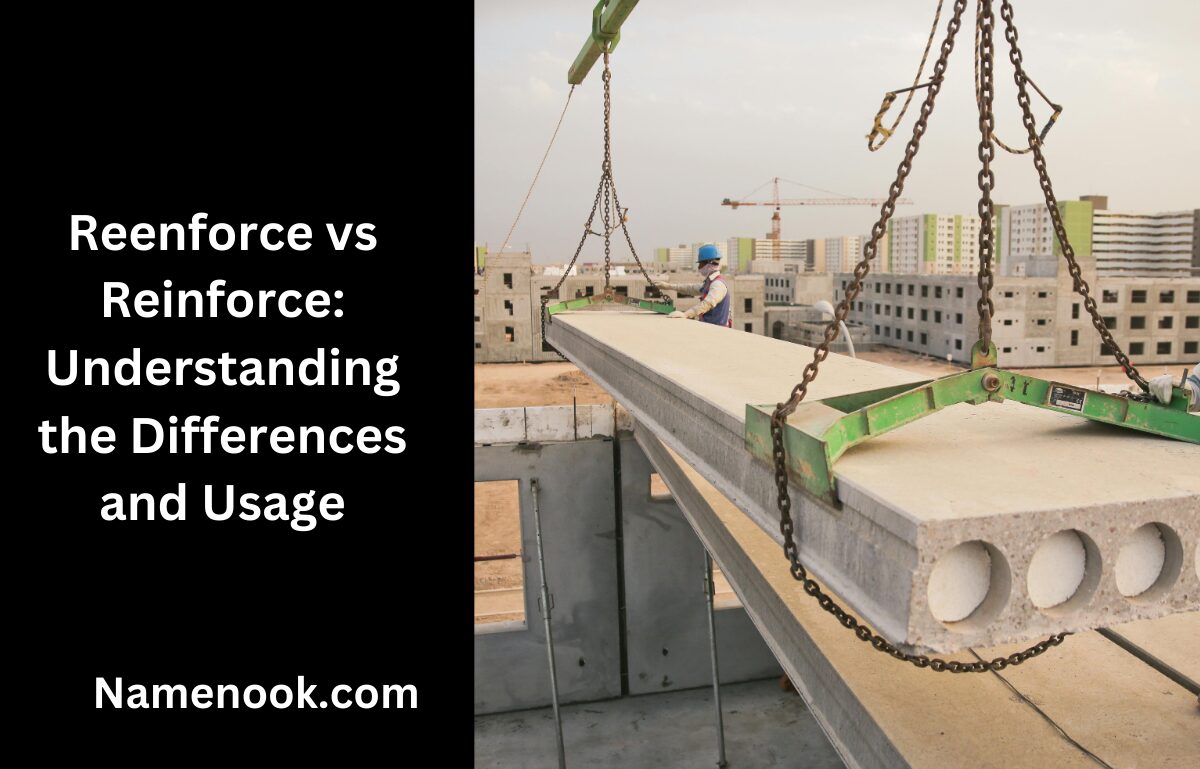 Reenforce vs Reinforce: Understanding the Differences and Usage