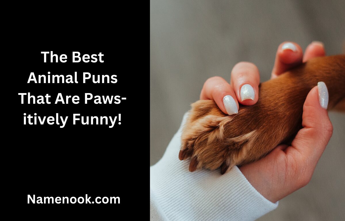 The Best Animal Puns That Are Paws-itively Funny!