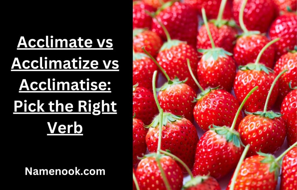 Acclimate vs Acclimatize vs Acclimatise: Pick the Right Verb