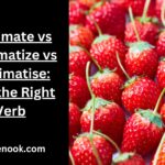 Acclimate vs Acclimatize vs Acclimatise: Pick the Right Verb