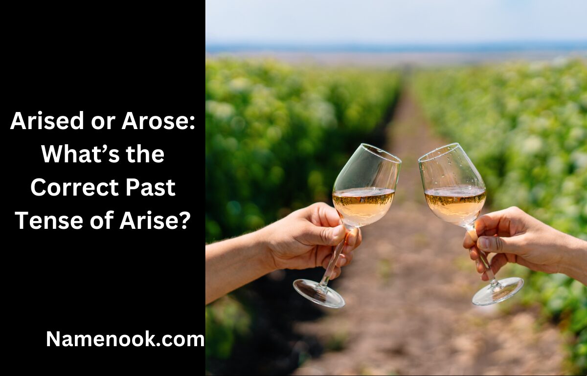 Arised or Arose: What’s the Correct Past Tense of Arise?