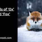Plurals of ‘Ox’ and ‘Fox’