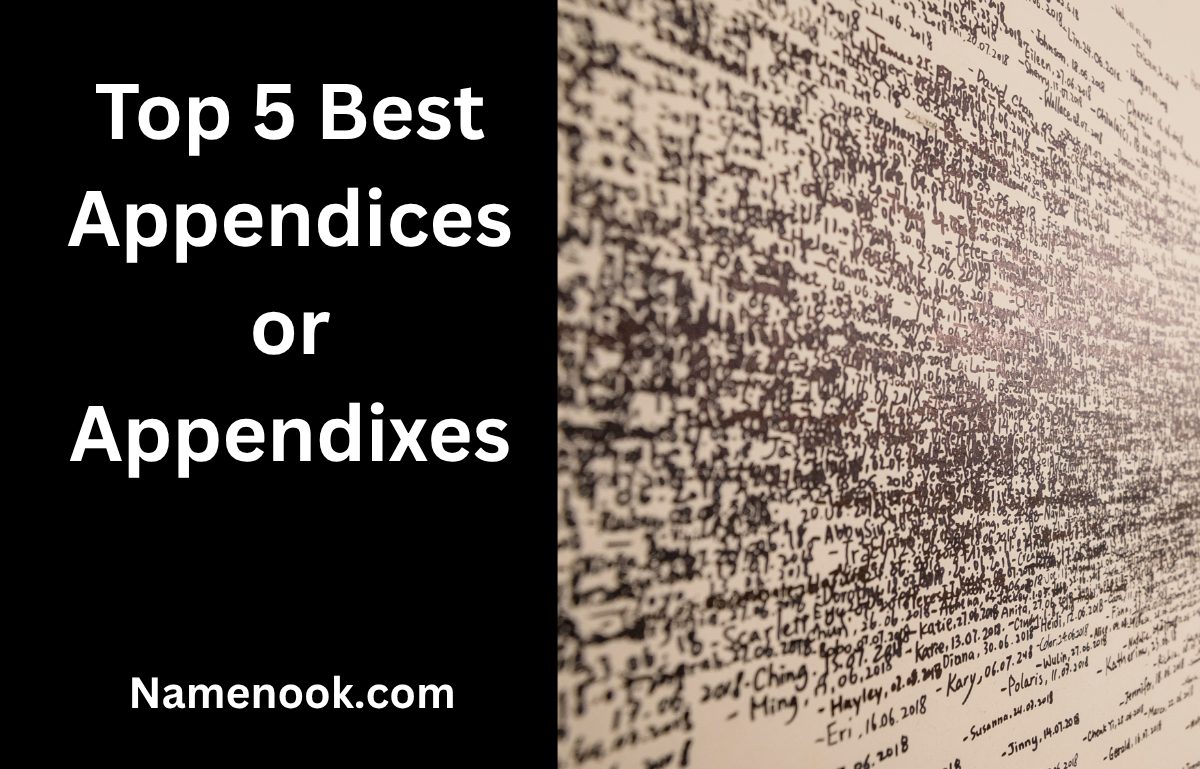 Top 5 Best Appendices or Appendixes