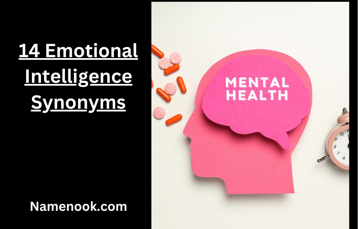 14 Emotional Intelligence Synonyms