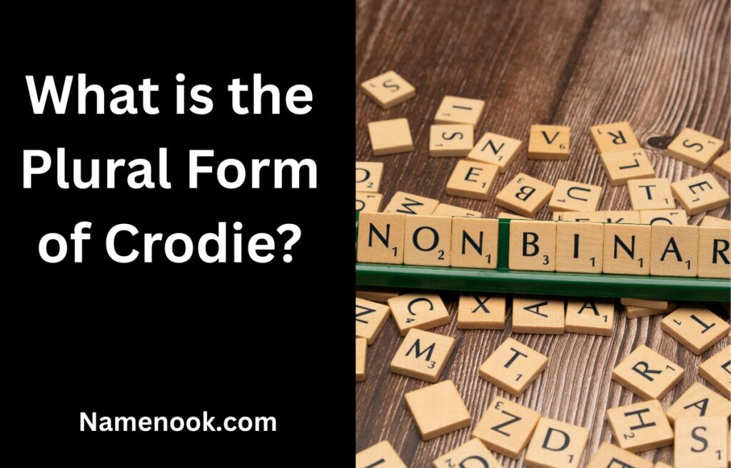 What is the Plural Form of Crodie?