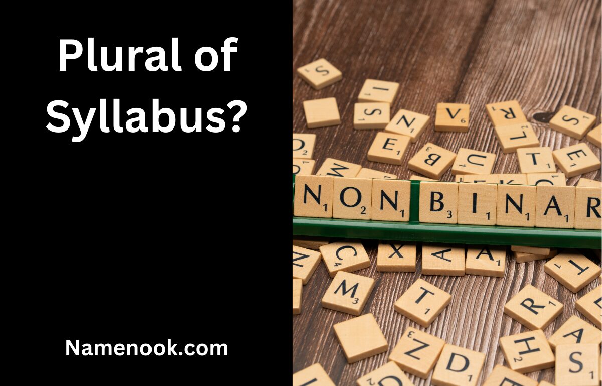 Plural of Syllabus?