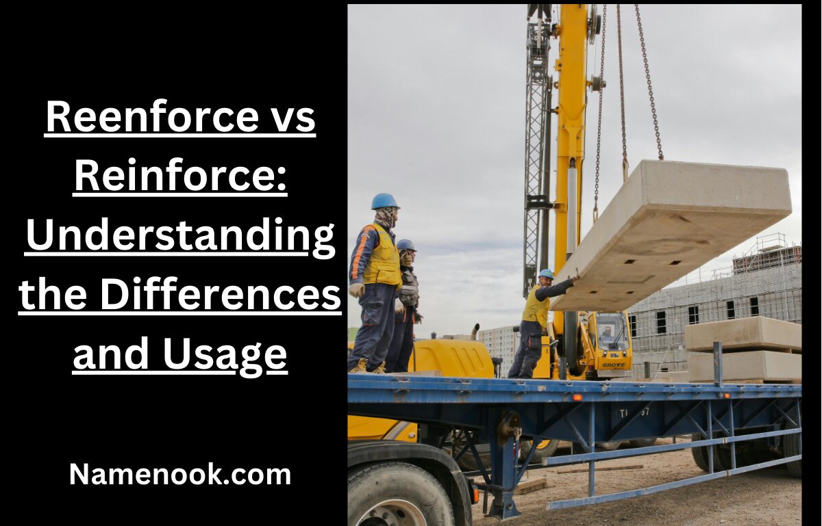 Reenforce vs Reinforce: Understanding the Differences and Usage