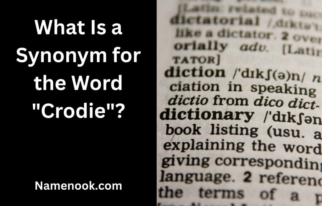 What Is a Synonym for the Word "Crodie"?