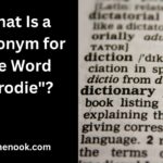 What Is a Synonym for the Word "Crodie"?