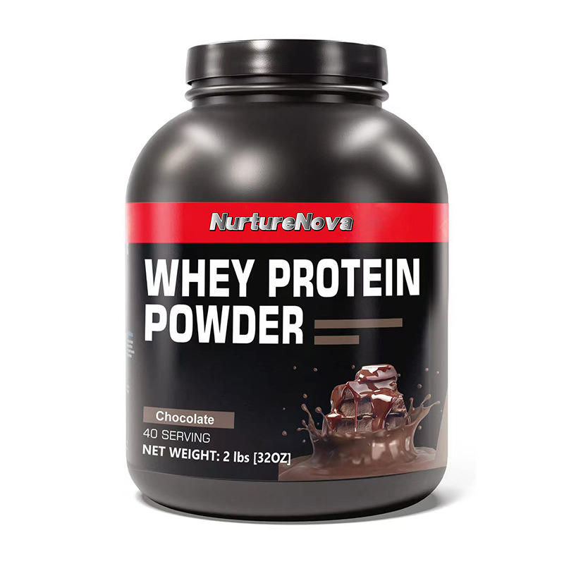 Navigating the World of Wholesale Protein Powder