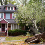 Tree Damage and Property Value