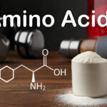 Role of Amino Acids Supplements.