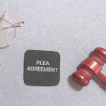 Trial vs. Plea Agreement Decisions